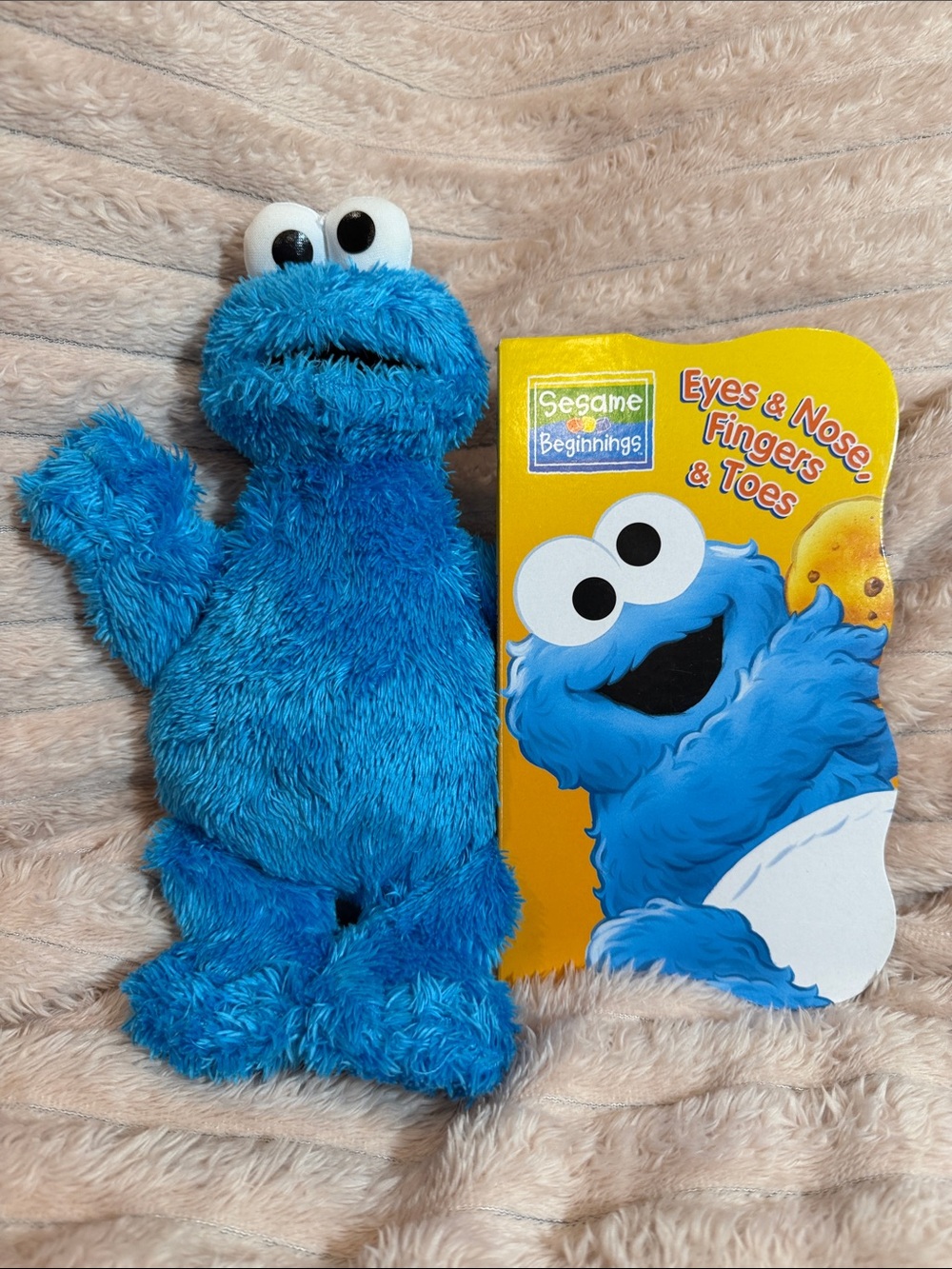 Cookie Monster Plush with hardcover book